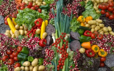 INAD027PO – Materias primas en la industria de la alimentación