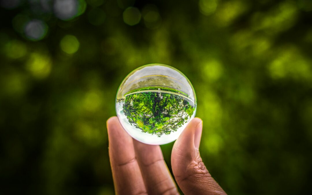 SEAG031PO – Sistema de gestión medioambiental en la industria