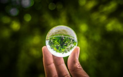 SEAG031PO – Sistema de gestión medioambiental en la industria
