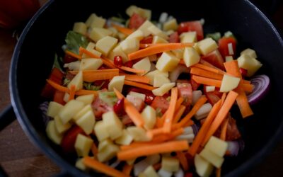SANT101POD20 – Salud y alimentos funcionales