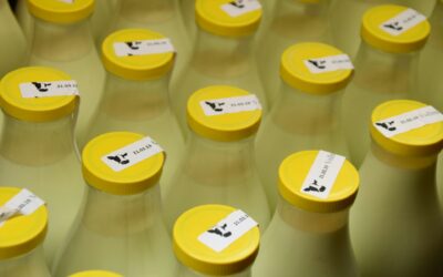 INAD033POD9 – Microbiología de los lácteos